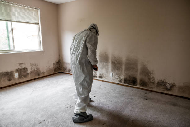 Best Biohazard Mold Removal  in Perryville, MO